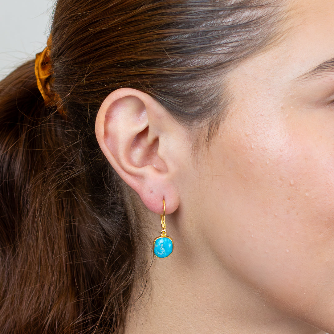 Sleeping Beauty Turquoise Drop Earrings