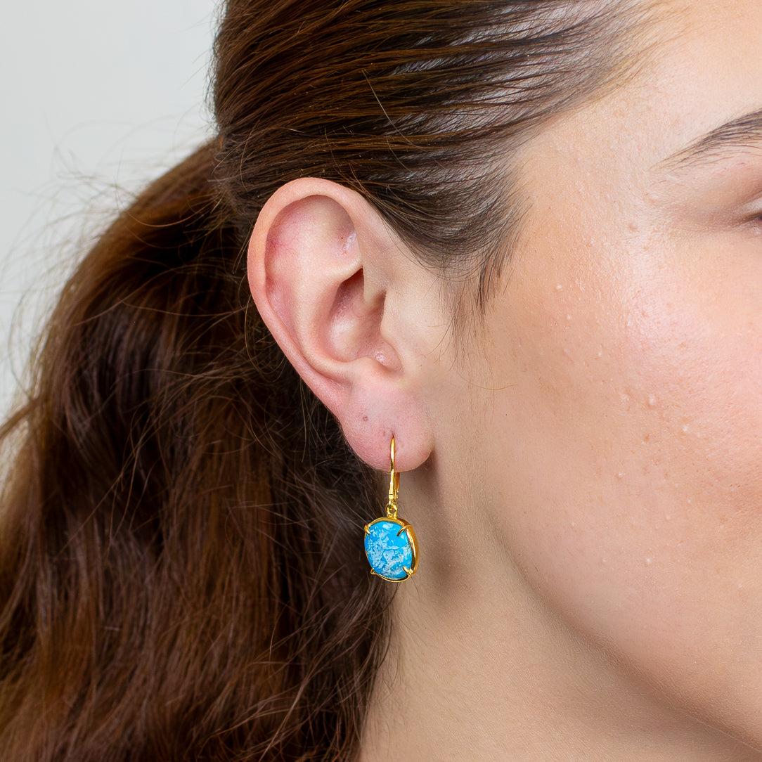 Sleeping Beauty Turquoise Drop Earrings