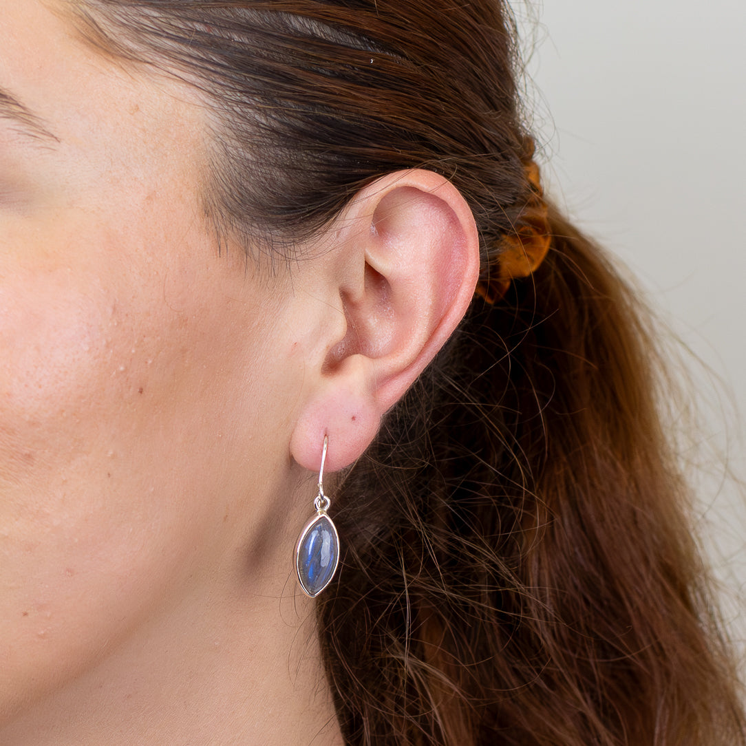 Labradorite Drop Earrings