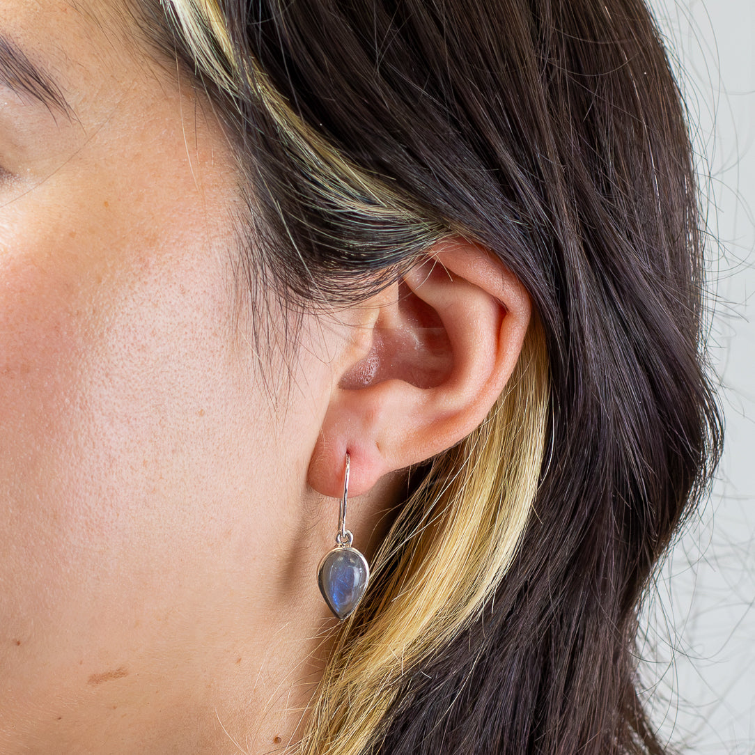 Labradorite Drop Earrings