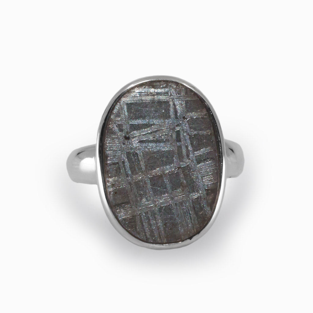 Grey Gibeon Meteorite Ring Made in Earth