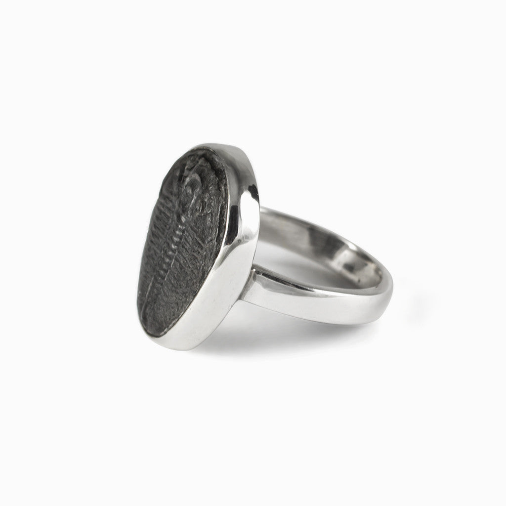 Trilobite Ring