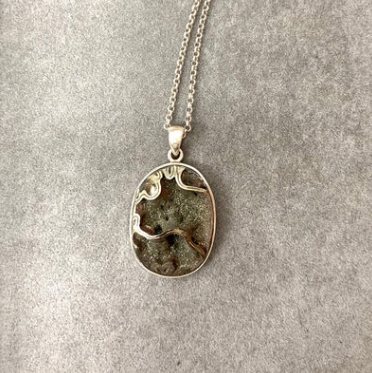 Pyritized Ammonite
