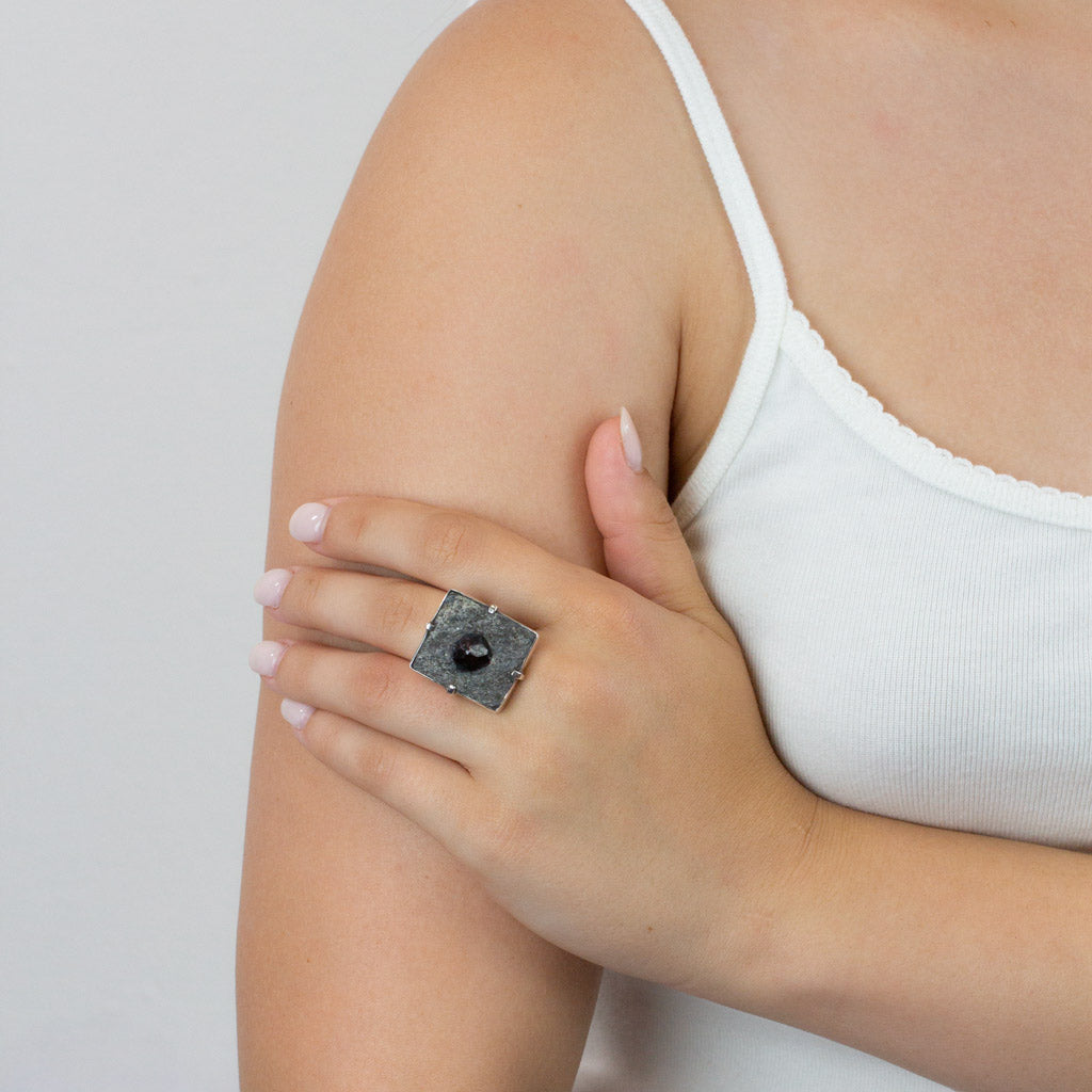 Garnet in schist ring on model