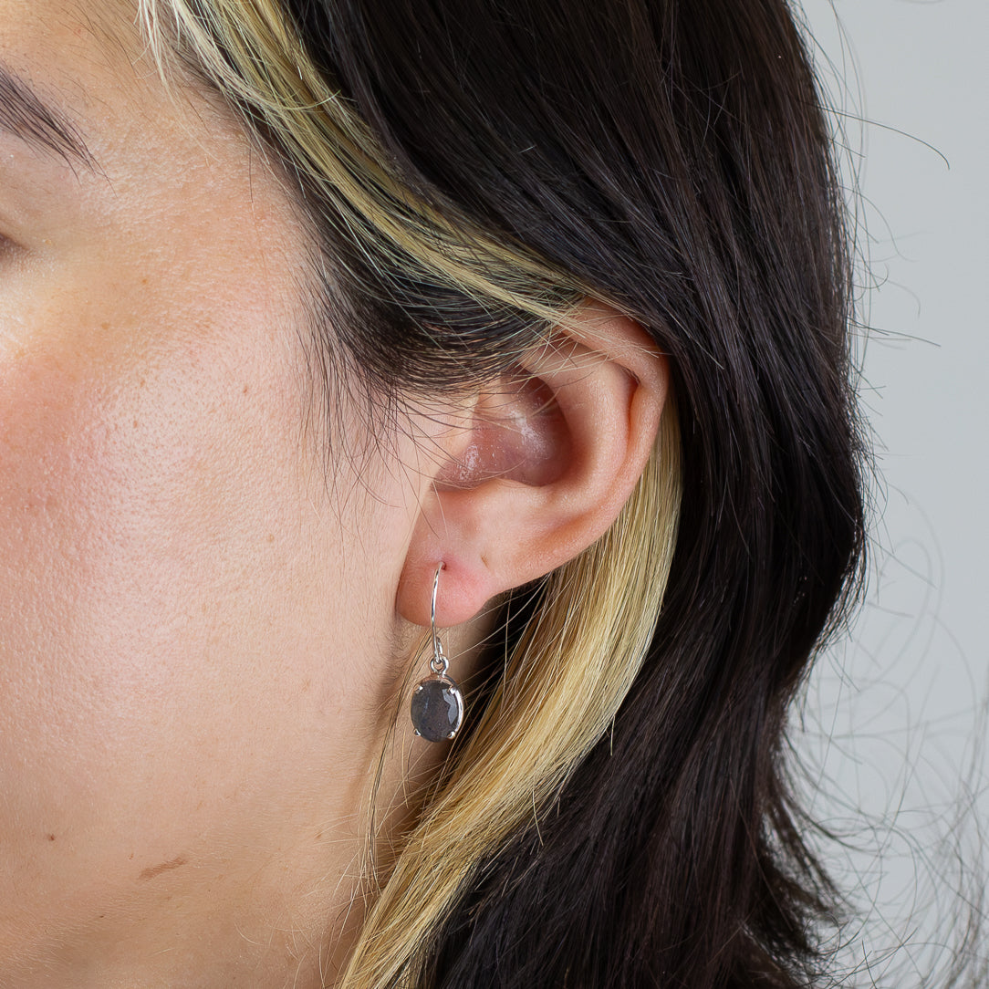 Labradorite Drop Earrings