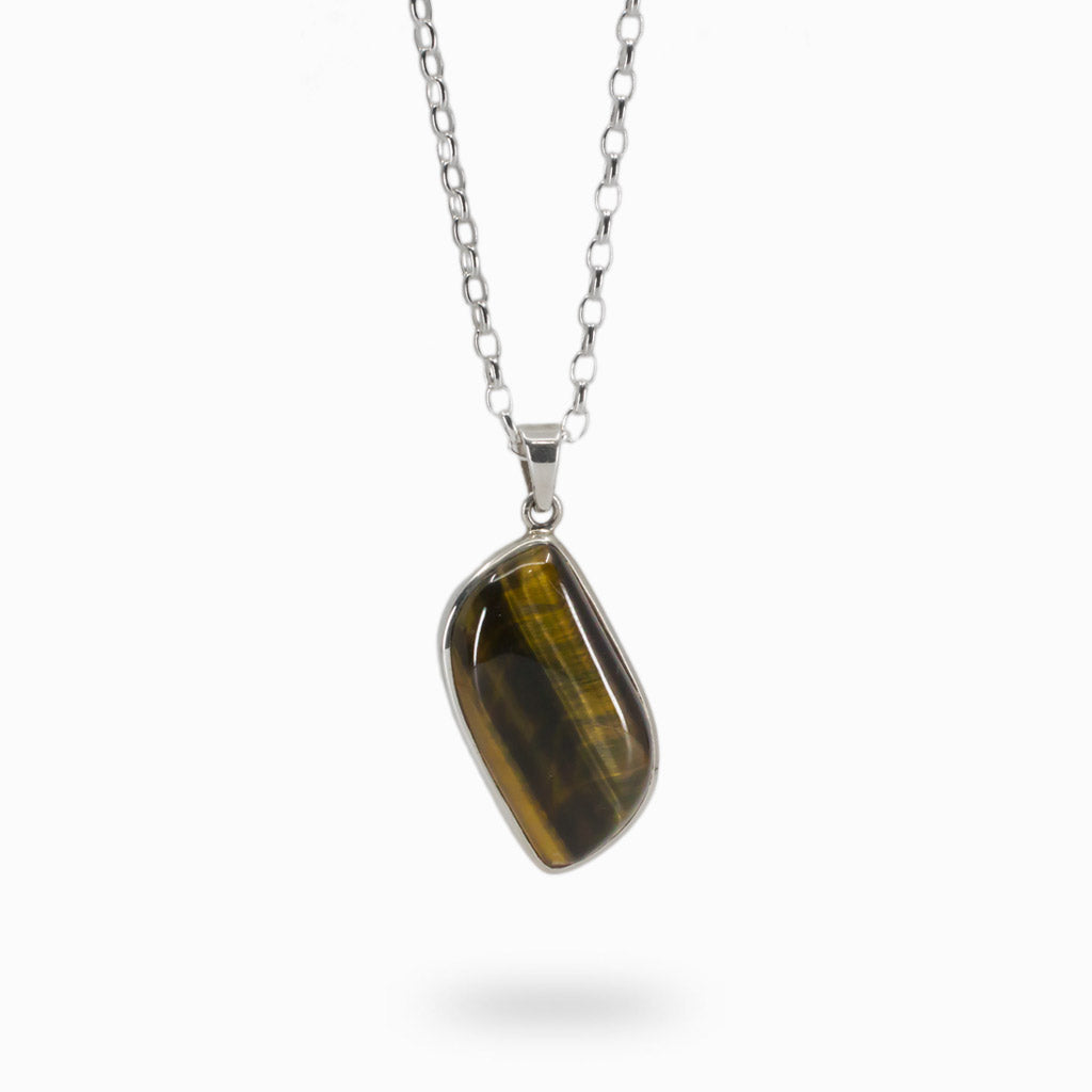 S-Shaped cabochon Hawks Eye Necklace