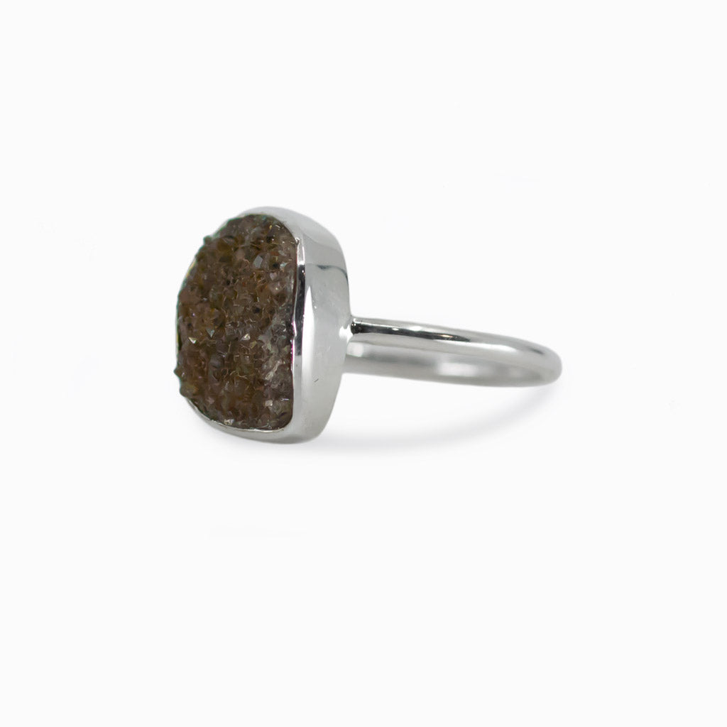 Druzy Petrified wood ring