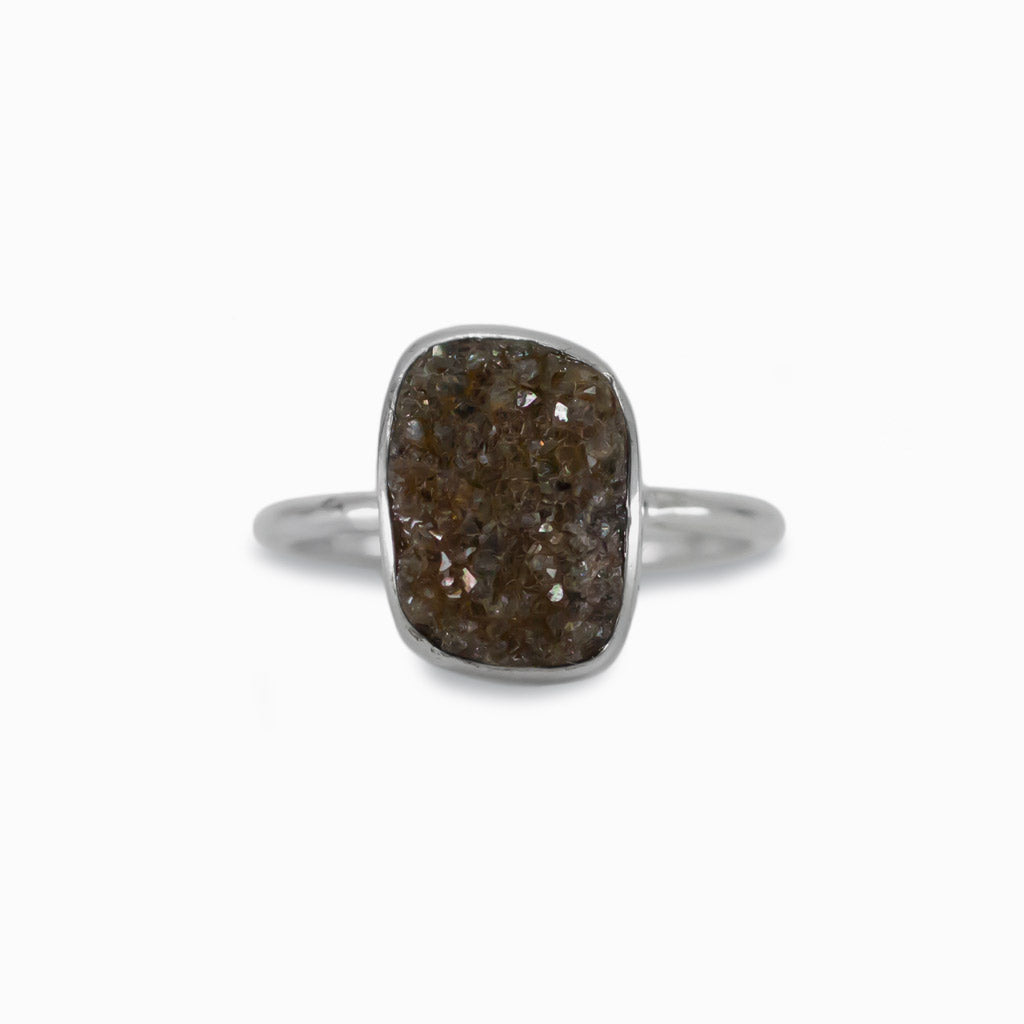 Druzy Petrified wood ring