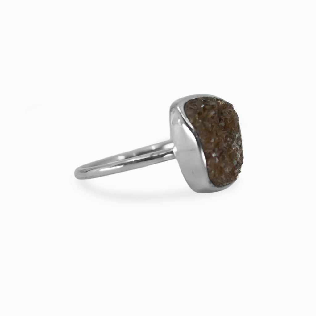 Druzy Petrified wood ring