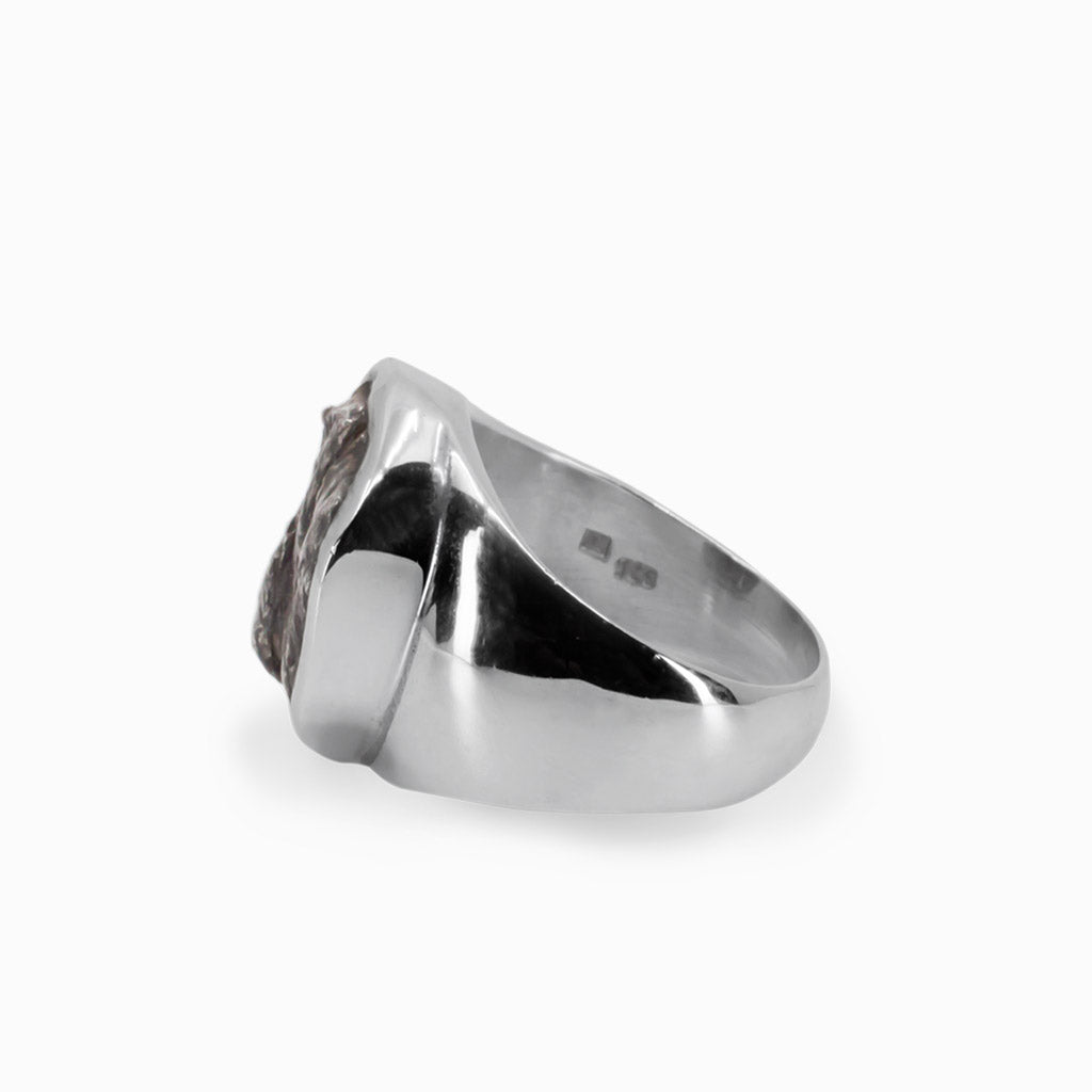 Sikhote-Alin Meteorite Ring